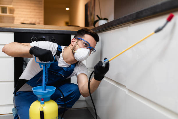 Best Local Pest Control Services  in Deer Park, TX