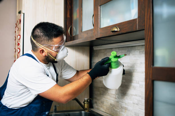 Best Pest Inspection Near Me  in Deer Park, TX