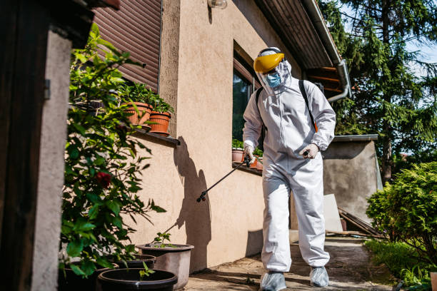 Flea Control Services in Deer Park, TX