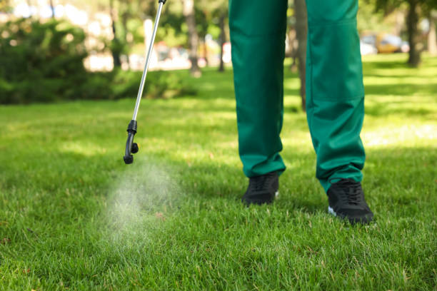 Best Best Pest Control Companies  in Deer Park, TX
