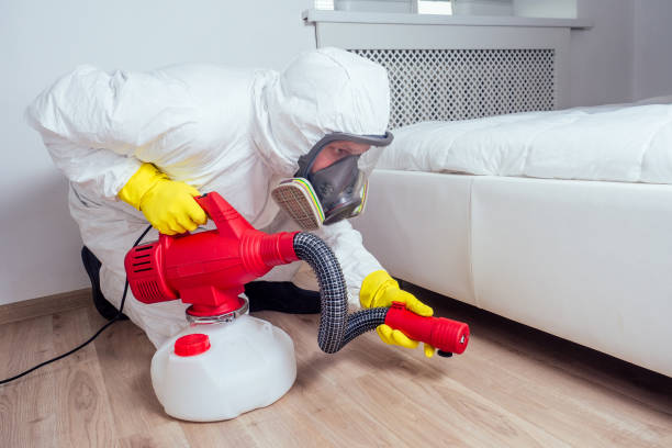 Professional Pest Control in Deer Park, TX