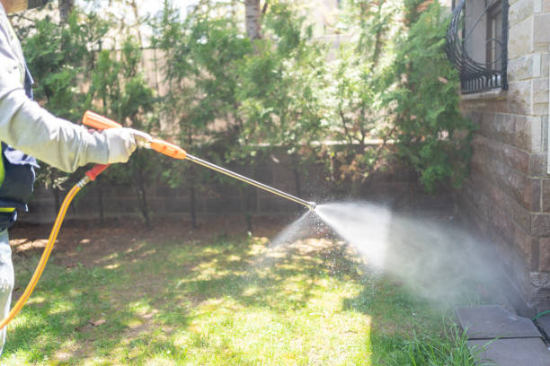 Best Exterminator Services  in Deer Park, TX