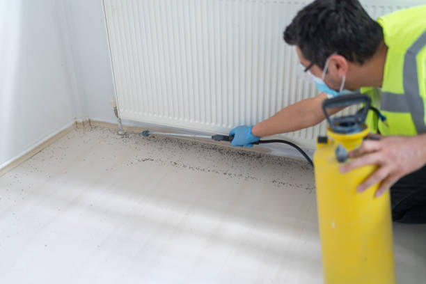 Best Flea Control Services  in Deer Park, TX