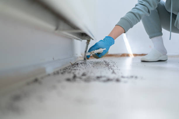 Best Commercial Pest Control Services  in Deer Park, TX