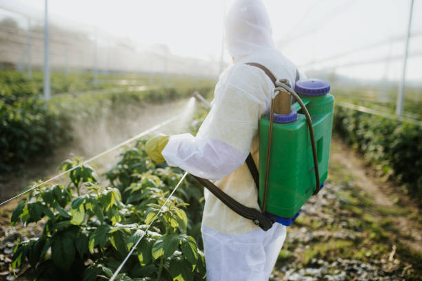 Best Best Pest Control Companies  in Deer Park, TX